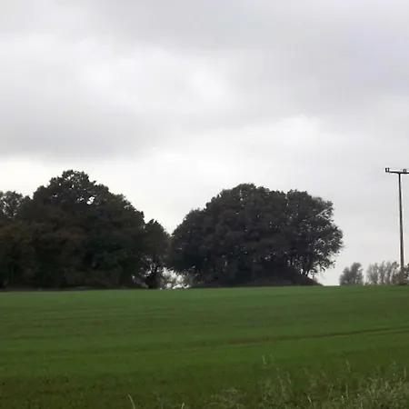 Landhauswohnungen Thesenvitz Ramitz